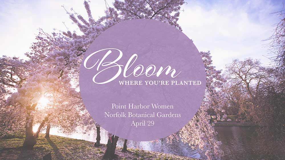 Bloom Where You're Planted